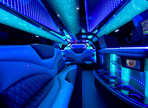 10 passenger limousine