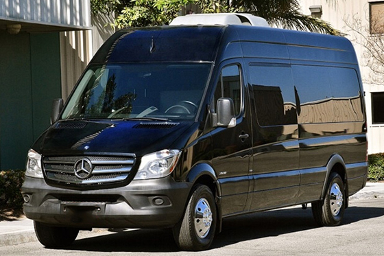 deluxe Sprinter van